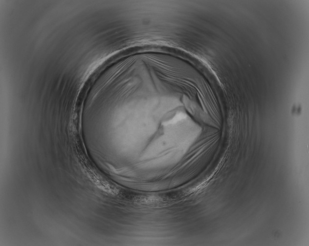X0000088860879200706291515