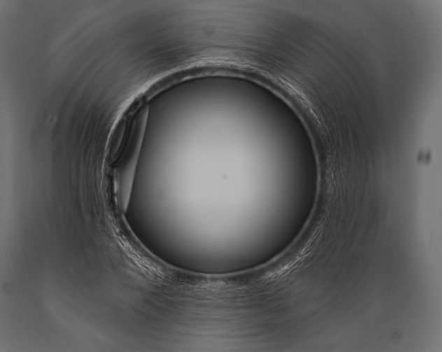 X0000088860880200706291515