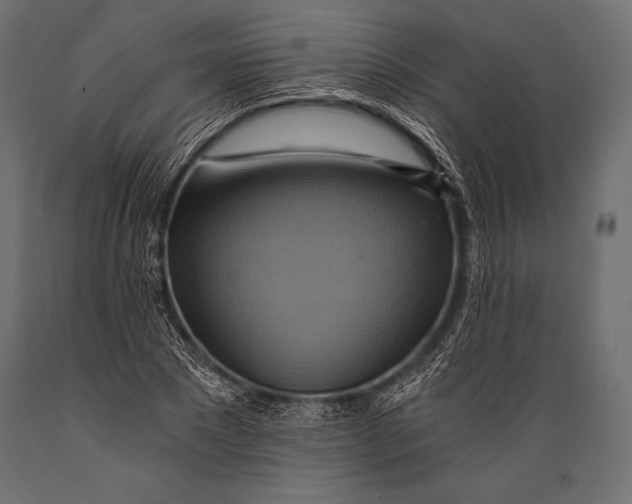 X0000088860881200706291515