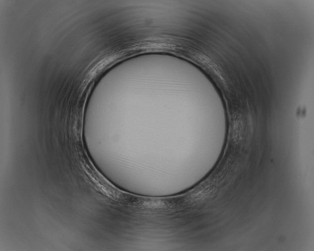 X0000088860882200706291515