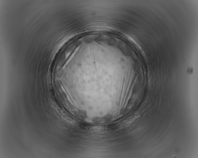 X0000088860883200706291515