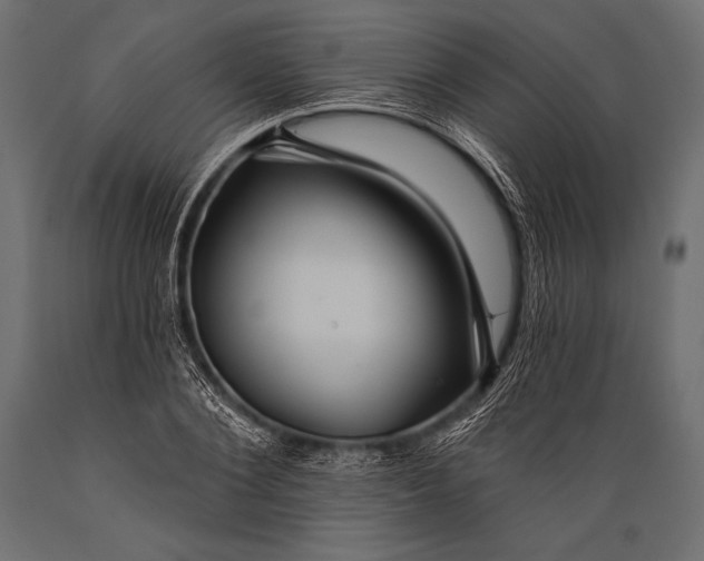 X0000088860884200706291515