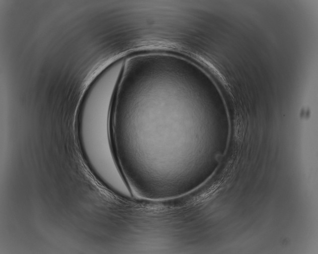 X0000088860885200706291515