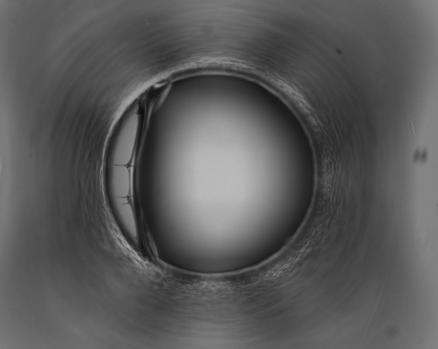 X0000088860888200706291515