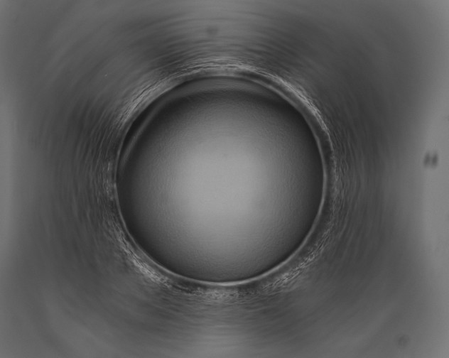 X0000088860889200706291515
