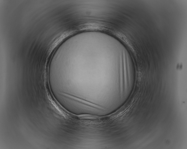 X0000088860890200706291515