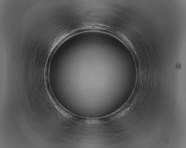 X0000088860893200706291515
