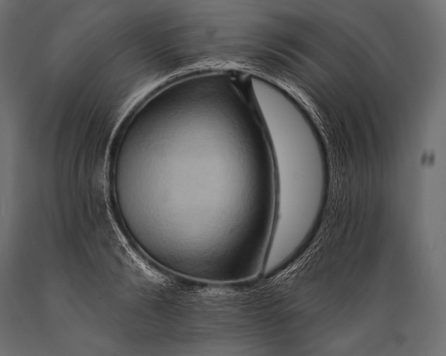X0000088860894200706291515