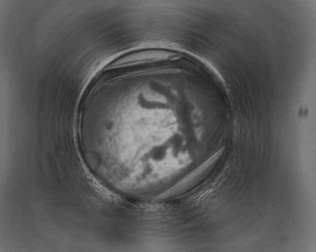 X0000088860895200706291515