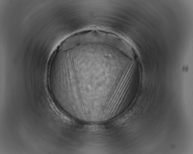 X0000088860896200706291515