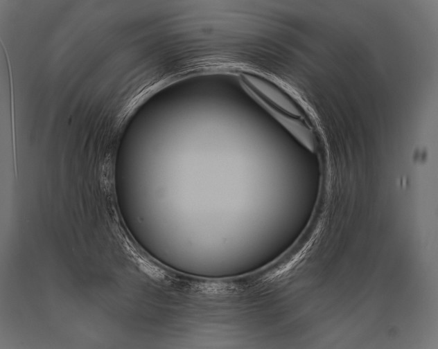 X0000088860897200706291515