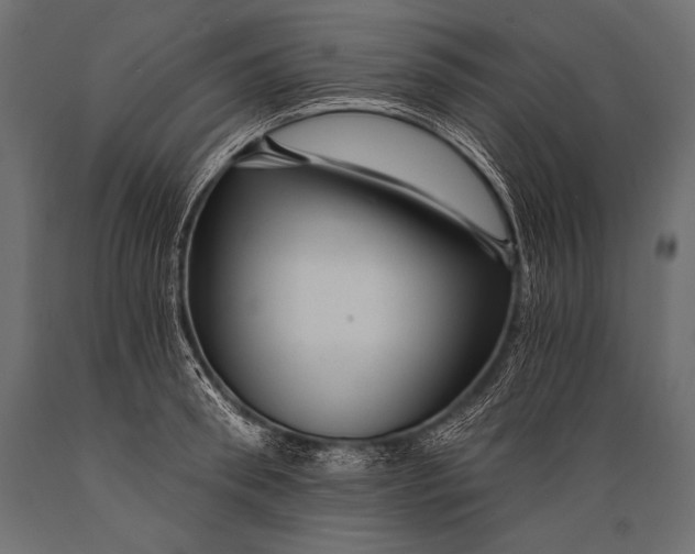 X0000088860898200706291515