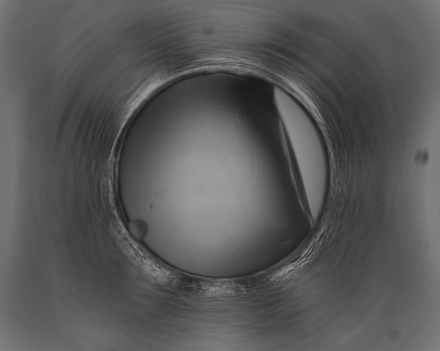 X0000088860899200706291515