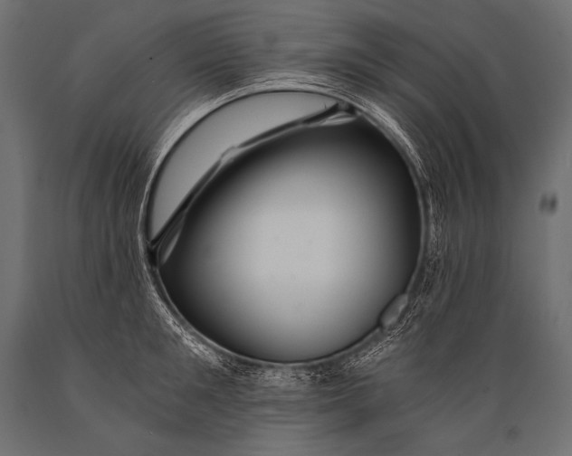 X0000088860901200706291515