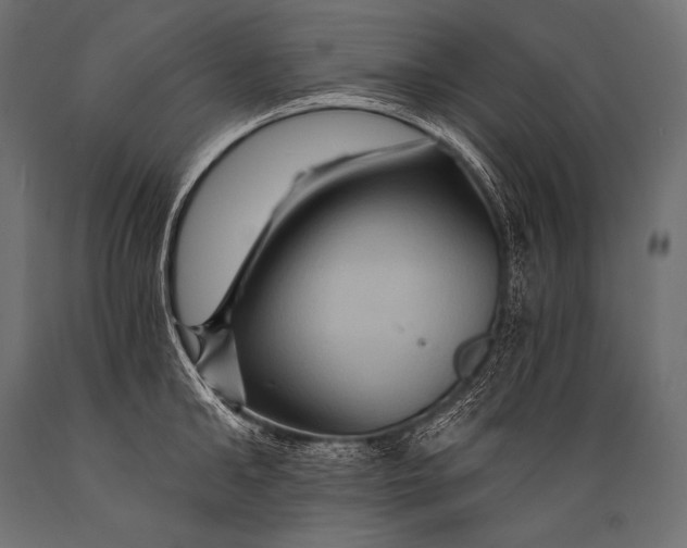 X0000088860902200706291515