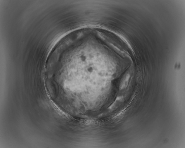 X0000088860903200706291515