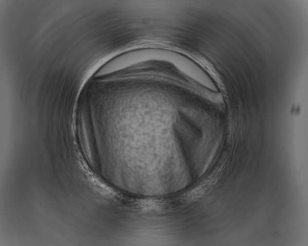 X0000088860904200706291515