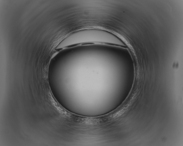 X0000088860905200706291515