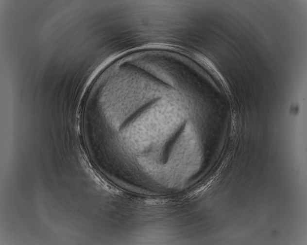 X0000088860908200706291515