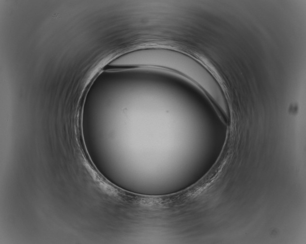 X0000088860909200706291515