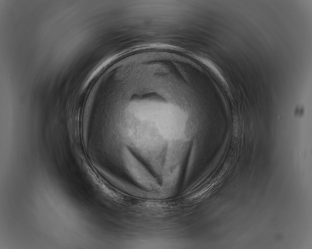 X0000088860910200706291515