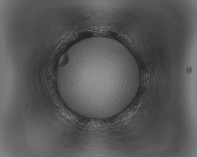 X0000088860913200706291514