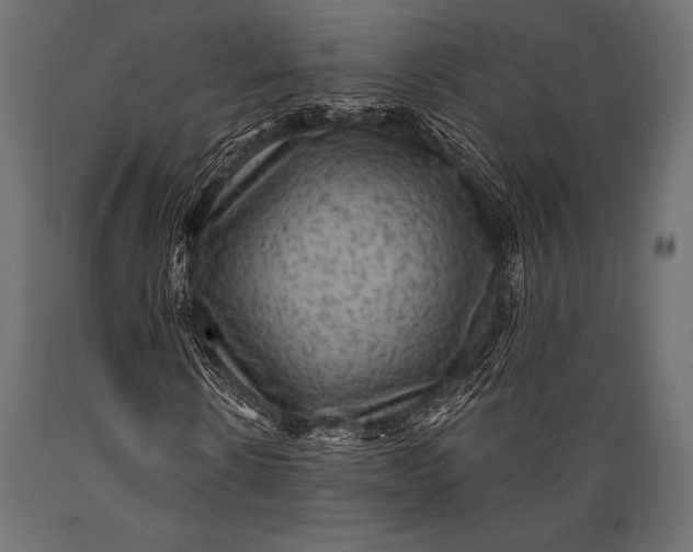 X0000088860914200706291514