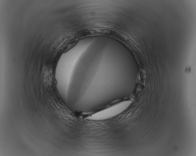 X0000088860915200706291514