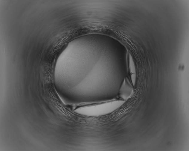 X0000088860916200706291514