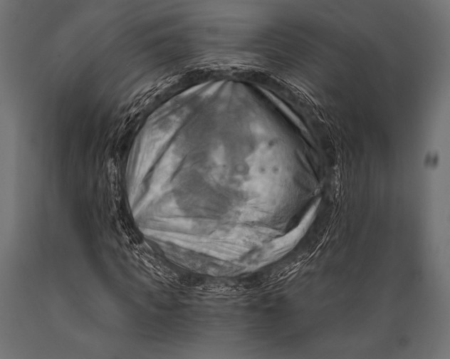 X0000088860917200706291514