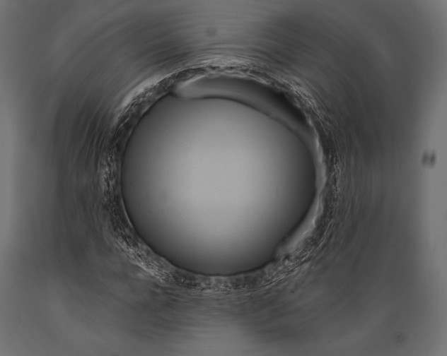 X0000088860920200706291514