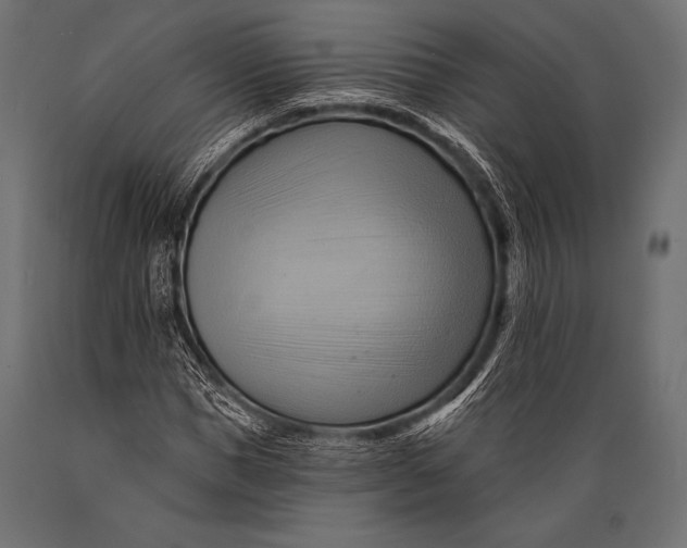 X0000088860921200706291514