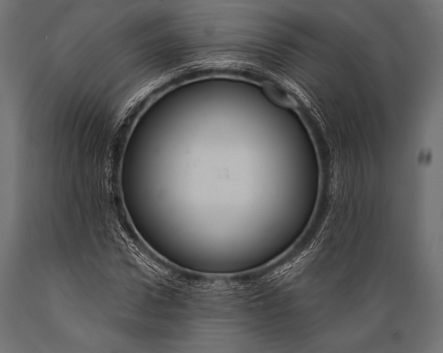 X0000088860922200706291514