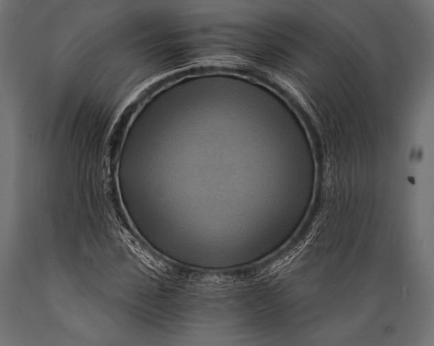 X0000088860923200706291514