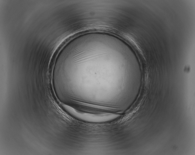 X0000088860924200706291514