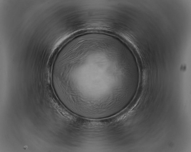 X0000088860925200706291514