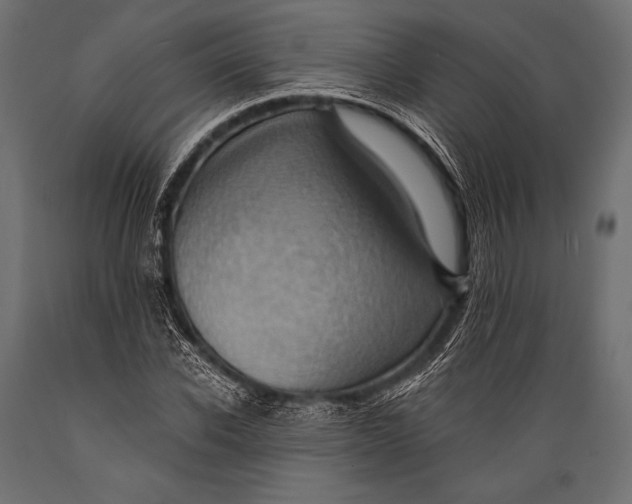 X0000088860926200706291514