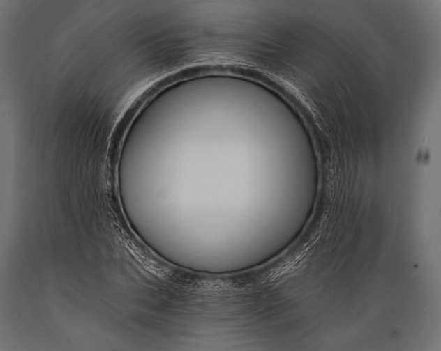 X0000088860927200706291514