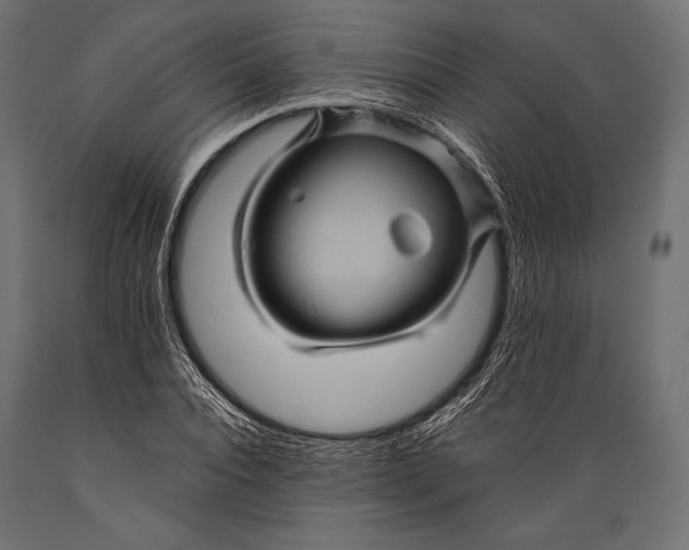 X0000088860928200706291514