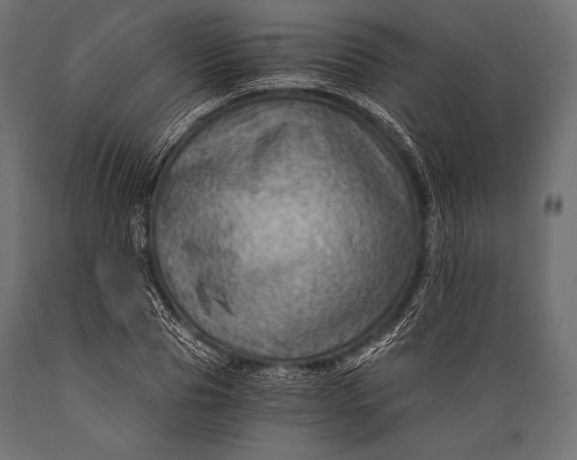 X0000088860929200706291514