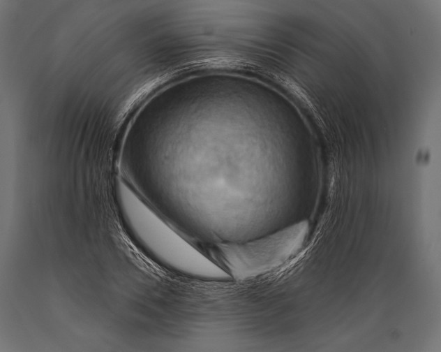 X0000088860930200706291514