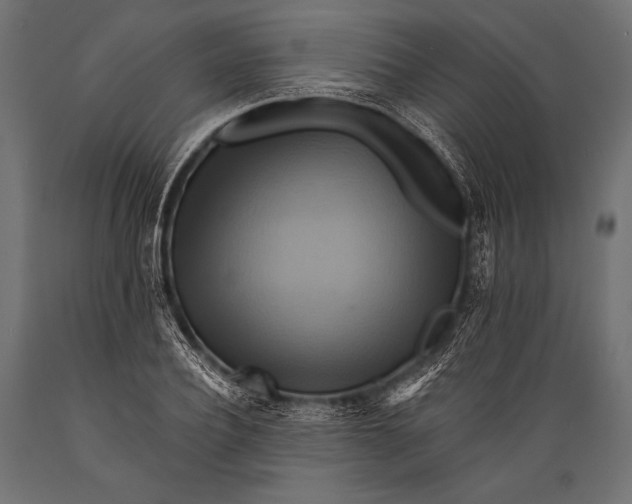 X0000088860932200706291514