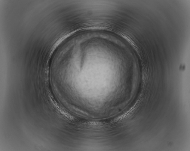 X0000088860933200706291514