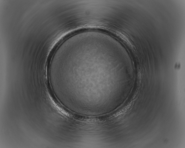 X0000088860934200706291514