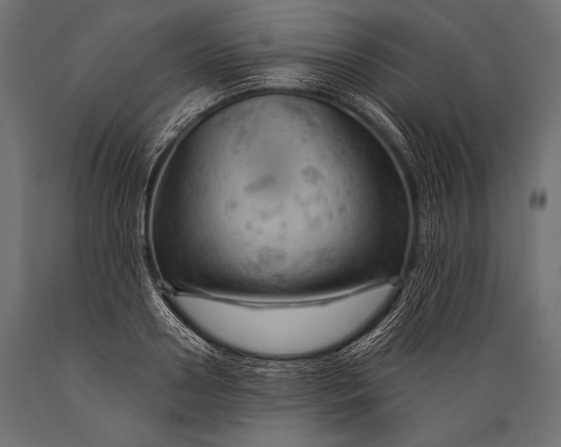 X0000088860938200706291515