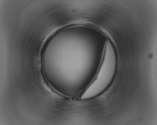 X0000088860939200706291515