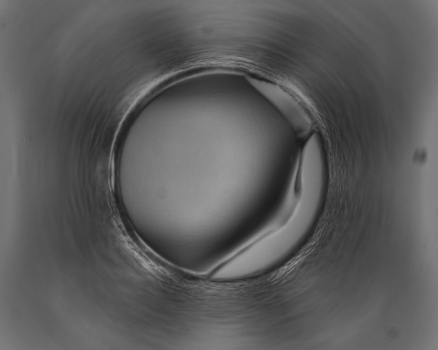 X0000088860940200706291515