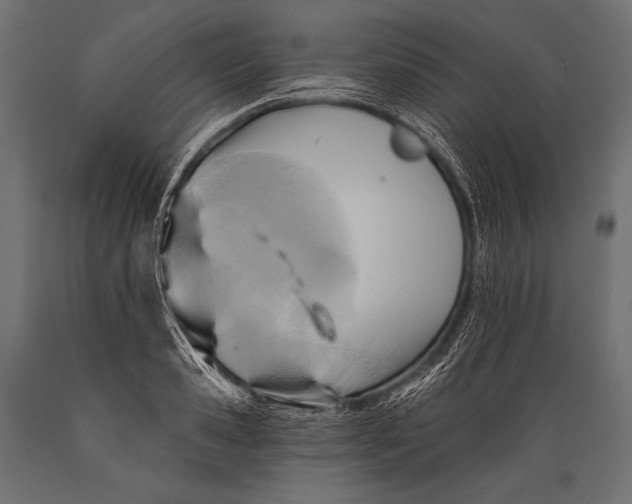 X0000088860941200706291515