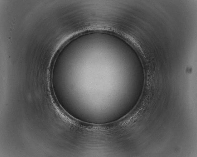 X0000088860942200706291515