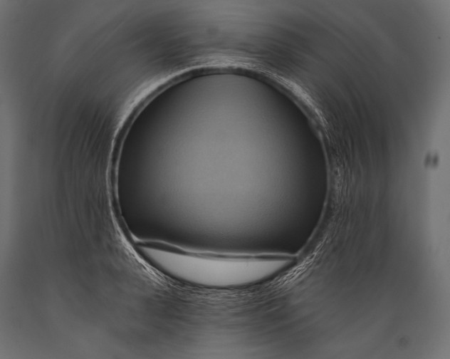 X0000088860943200706291515